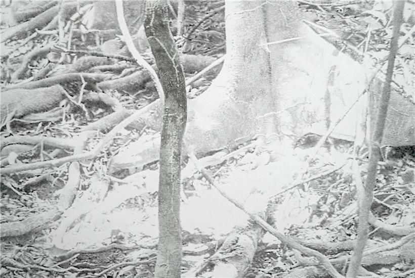 Die „Silver Memories“-Ausstellung der Künstlerin Daphné Le Sergent kann man im Casino Luxembourg-Forum d’art contemporain besichtigen
