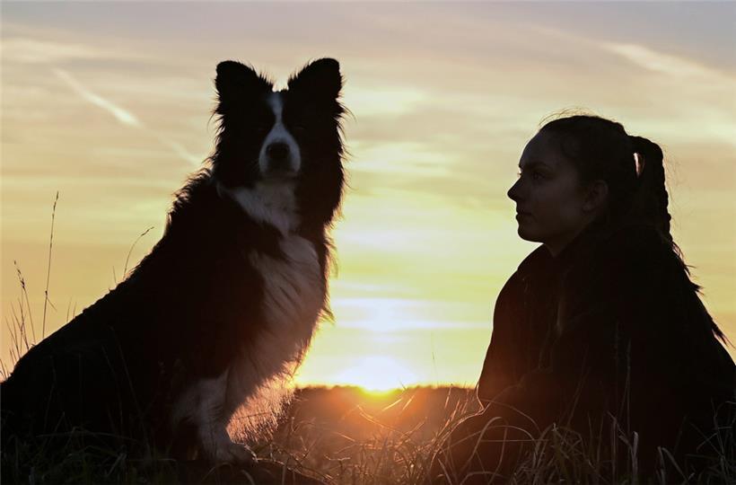 Die Stellung von Tieren hat sich im Laufe der Zeit deutlich verändert
