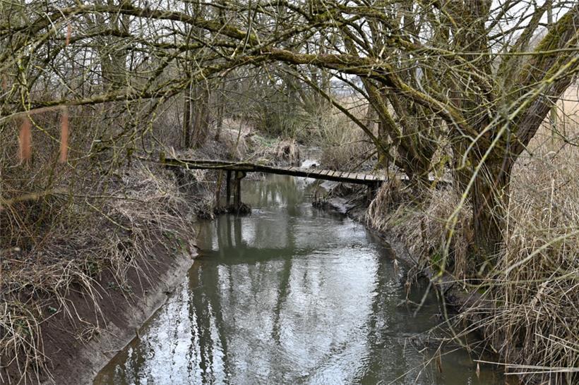 Die Syr fließt durch die „Schlammwiss“