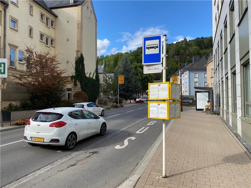 Die Testphase des City-Bus soll drei Monate andauern
