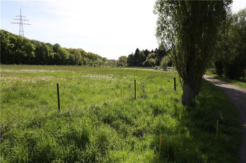 Die Trasse der 2018 vom Parlament verabschiedeten Umgehungsstraße verläuft u.a. durch eine Natura-2000-Zone 
