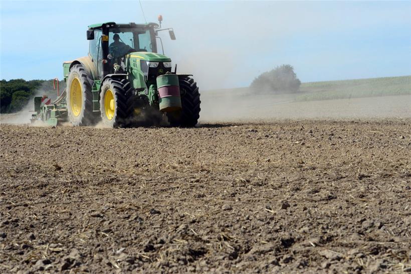 Die Trockenheit bereitet vielen Landwirten Kopfschmerzen

