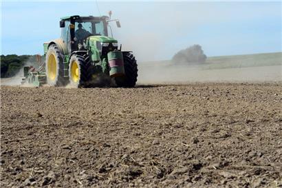 Die Trockenheit bereitet vielen Landwirten Kopfschmerzen
