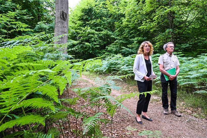 Die Umweltministerin Joëlle Welfring und der Direktor der Forstverwaltung, Frank Wolter, stellten die wichtigsten Eckpunkte des neuen Waldgesetzes vor
