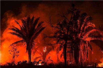 „Die Vernichtung schreitet immer schneller voran“: Brennender Amazonas-Wald
