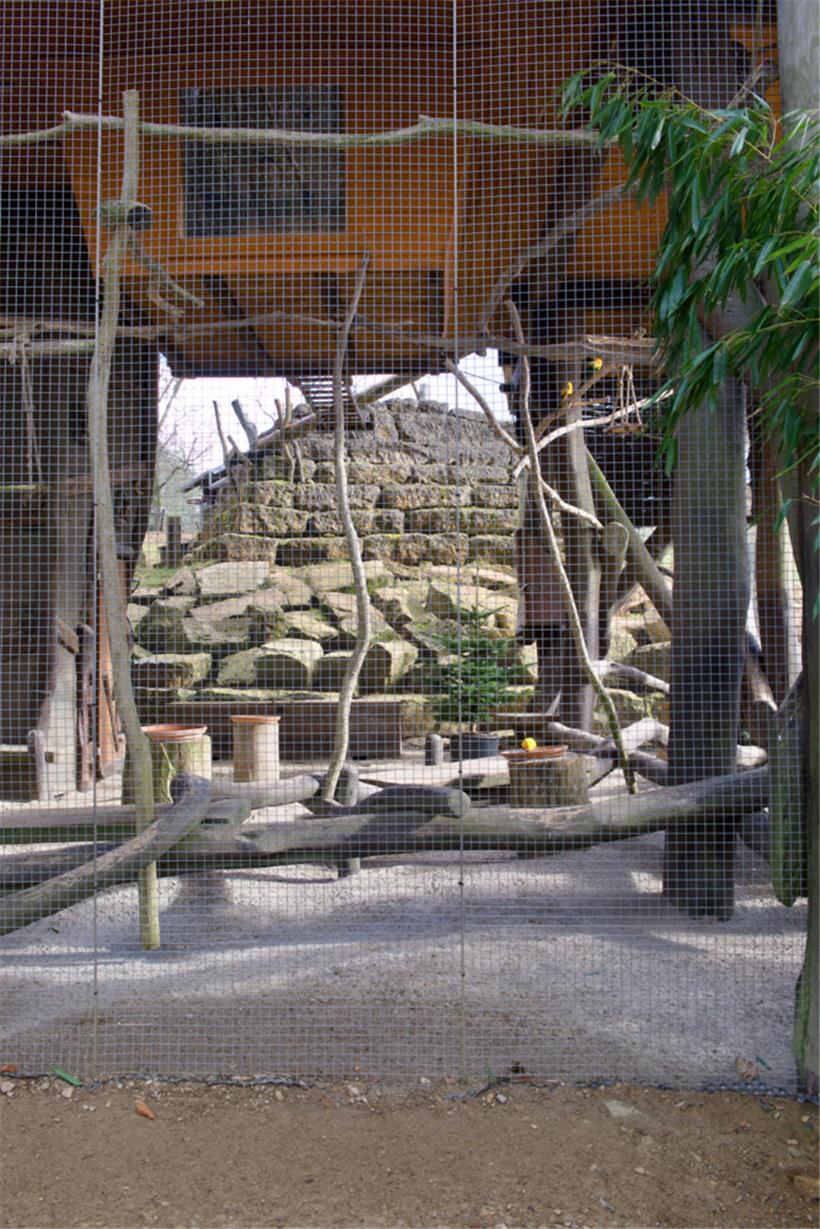 Die Voliere unter dem „Bamhaus“