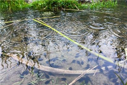Die Wasserpegel steigen
