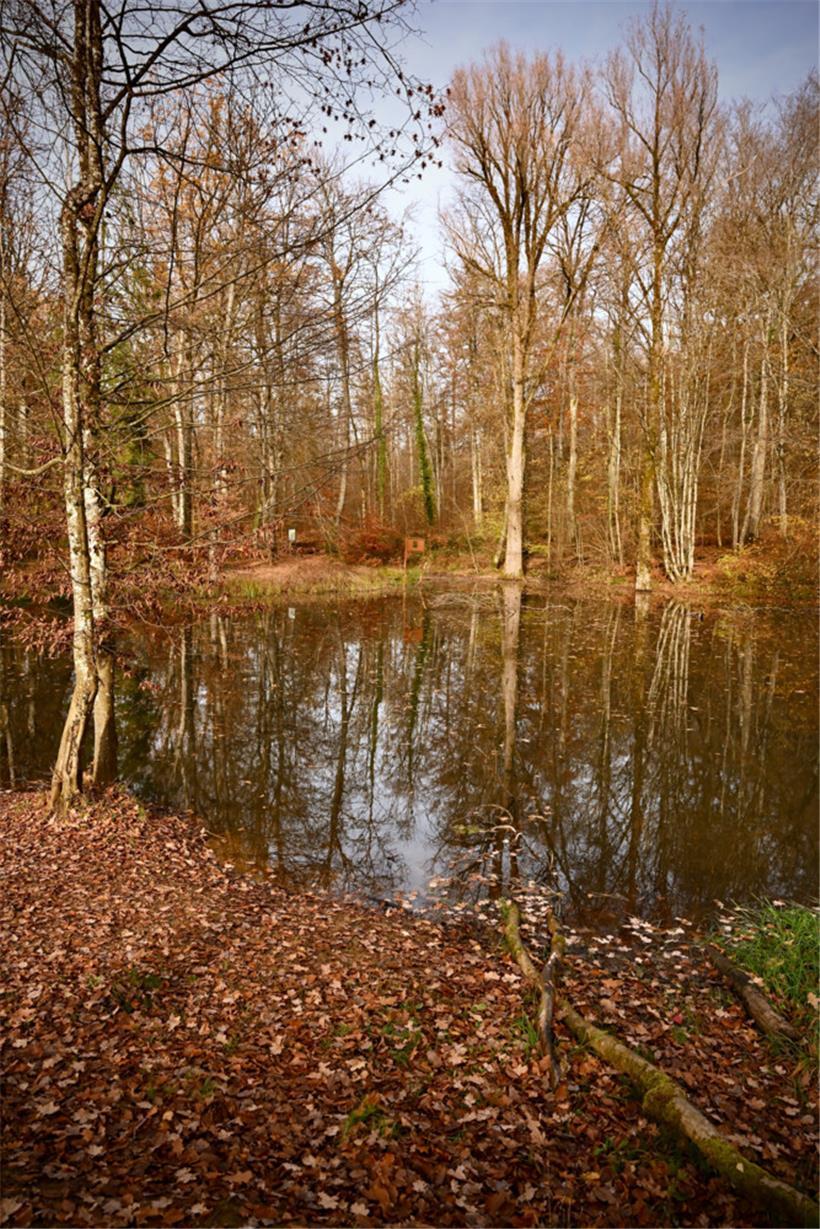 Die Weiher im „Ellergronn“ sind durch eingefallene Galerien entstanden – und gehören zu Pol Zimmermanns Lieblingsplätzen
