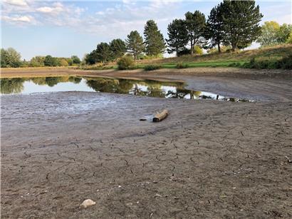 Die Weiswampacher Gemeindeverwaltung hat das Absenken des Wasserpegels im Fischereisee angeordnet
