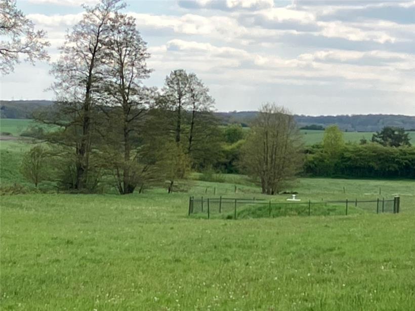 Die Wiesenquelle ist die einzige noch aktive von ehemals fünf Quellen in dem Gebiet 
