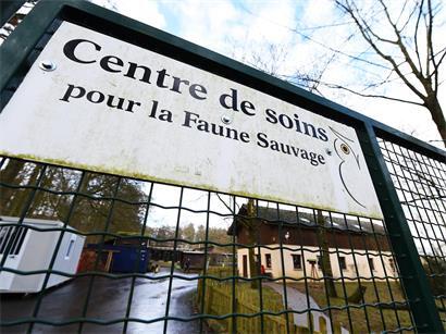 Wildtier-Pflegestation Düdelingen vorübergehend wegen hohem Tieraufkommen geschlossen
