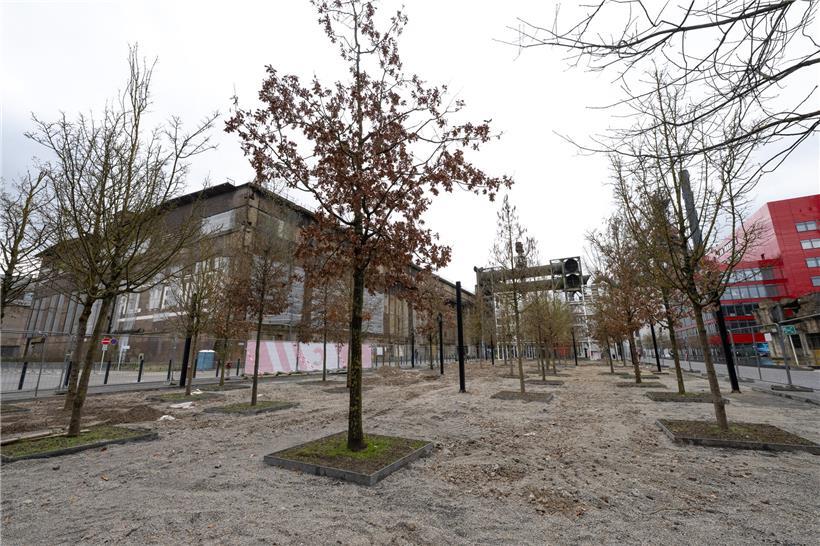 Freigelegte Mauer ohne Ziegelsteine zwischen Bäumen in natürlicher Waldumgebung