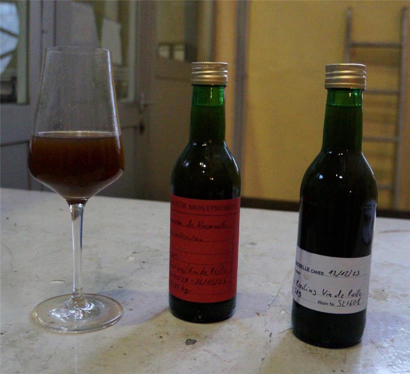 Die abgefüllten Mostproben kommen in die Labore der Kellerei und des Weinbauinst...