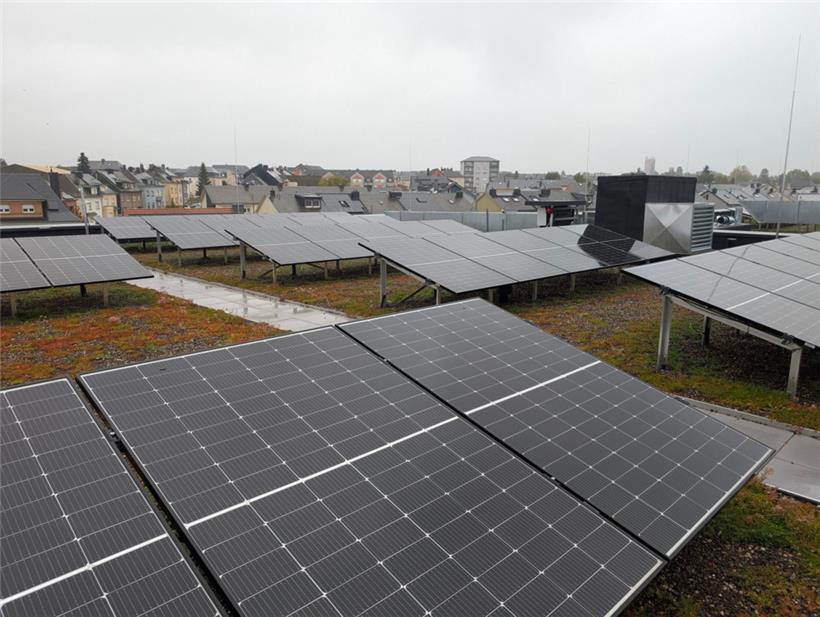 Die aktuell niedrigen Einspeisetarife machen es schwierig für viele Energiekooperativen. Sie müssen auf neue Geschäftsmodelle, wie etwa Energiegemeinschaften, setzen.
