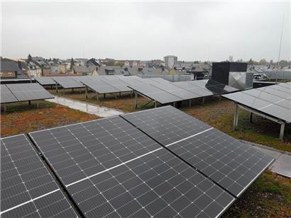 Die aktuell niedrigen Einspeisetarife machen es schwierig für viele Energiekooperativen. Sie müssen auf neue Geschäftsmodelle, wie etwa Energiegemeinschaften, setzen.
