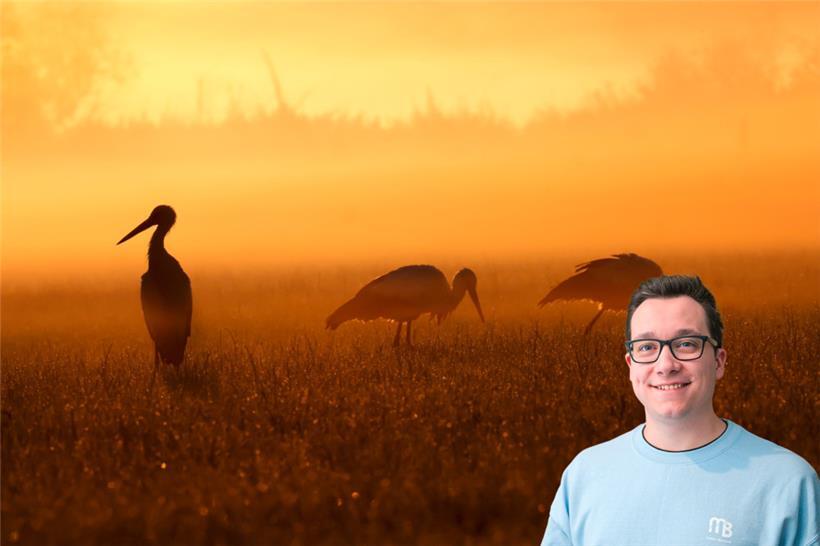 Die bekannte Großwetterlage setzt sich fort
