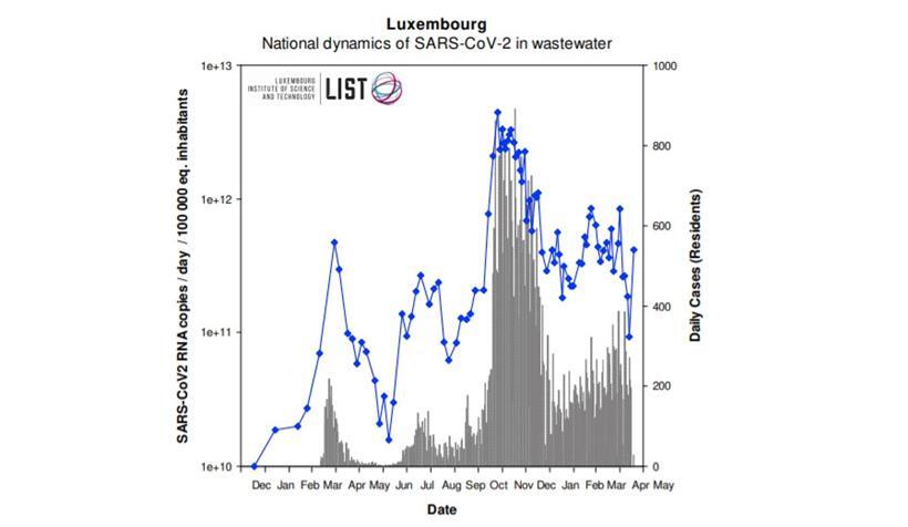 Die blauen Punkte zeigen die durch LIST-Abwasserproben erkannte Verbreitung des Coronavirus in Luxemburg, die grauen Balken stellen die täglich von der „Santé“ offiziell gemeldeten Coronavirus-Fallzahlen dar
