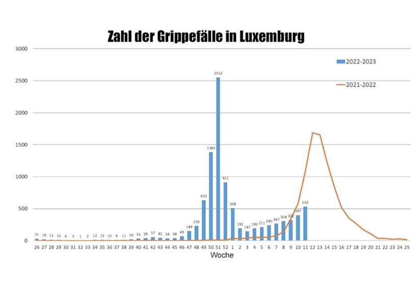 Die blauen Säulen zeigen: Nach der recht frühen Influenza-Welle Ende vergangenen Jahres steigen die Fallzahlen derzeit wieder an. (Quelle: Gesundheitsministerium, bearbeitet von Editpress)
