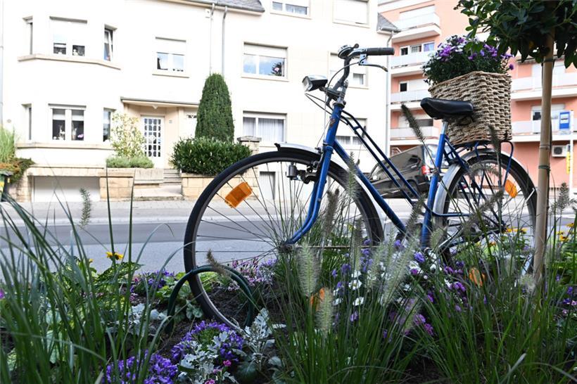 Die diesjährige Mobilitätswoche läuft unter dem Thema „Shared public space“
