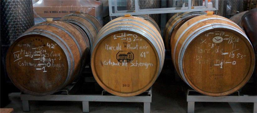 Die edelsten Erzeugnisse von Josy Zenner lagern bis zu zwölf Jahre im Barrique