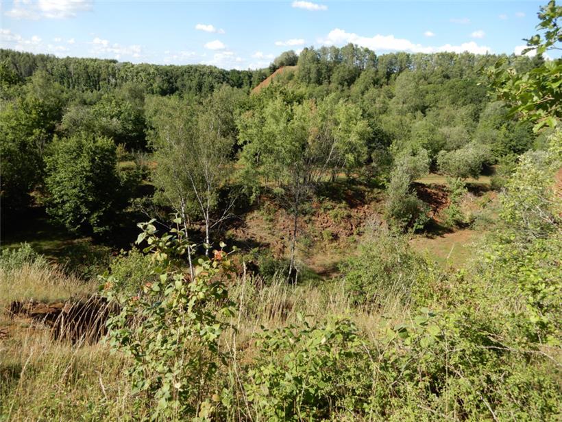 Die einstige Mondlandschaft wurde inzwischen wieder von der Natur zurückerobert. Das Foto zeigt in etwa die gleiche Sicht, wie sie im Aufmacherbild zu sehen ist.
