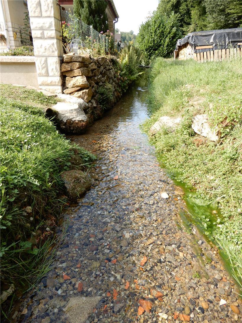 Die ersten paar Meter nach dem Weiher
