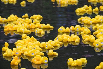 Die gelben Schwimmer waren dieses Jahr in der Alzette im Einsatz
