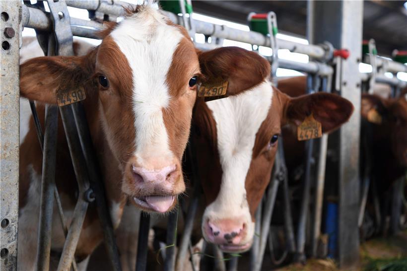 Die gemeinsame Agrarpolitik in der EU ist längst kein Thema mehr, das nur die Akteure in der Landwirtschaft interessiert
