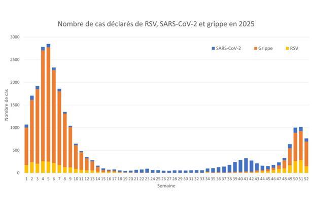 Die gemeldeten Fälle von Grippe, RSV und Covid sind in der vergangenen Woche gesunken

