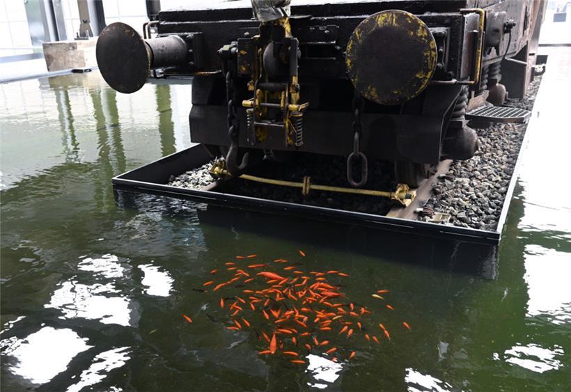 Die goldenen Fische scheinen sich in den Eisenbecken wohlzufühlen

