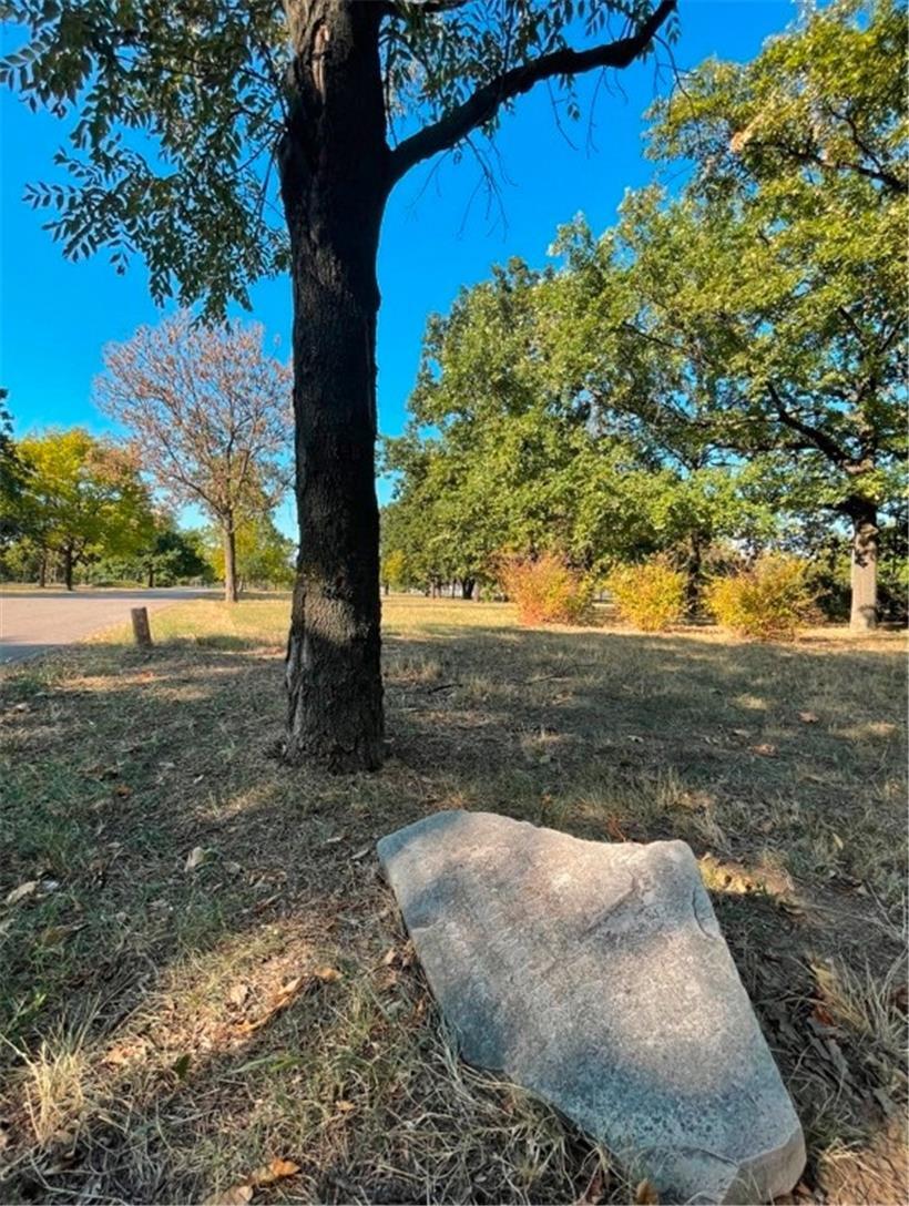 Die großherzogliche Esche wächst im 1961 angelegten Freundschaftspark, der als Ausdruck des Strebens nach Weltfrieden und Gleichheit aller Nationen anlässlich der ersten Gipfelkonferenz der blockfreien Staaten in Belgrad entstand. Seitdem sind über 200 Bäume durch berühmte Persönlichkeiten aus Politik und Kultur gepflanzt worden.
