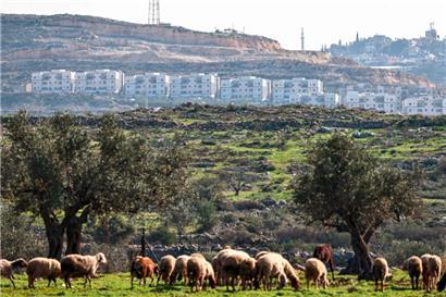 Die israelische Siedlung Avnei Hefetz nahe der Stadt Tulkarem im besetzten Westjordanland
