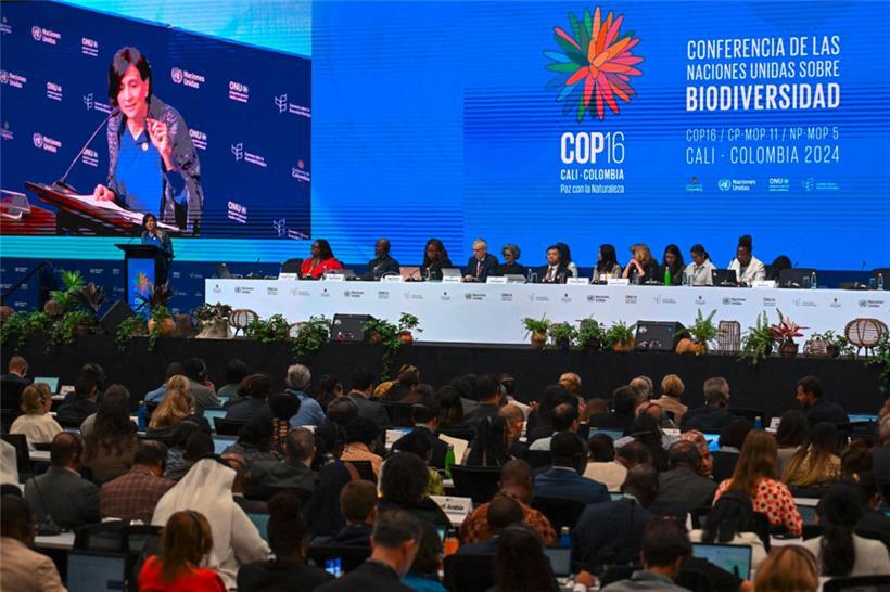 Die kolumbianische Umweltministerin und COP-16-Präsidentin Susana Muhamad spricht bei der Eröffnungszeremonie in Cali
