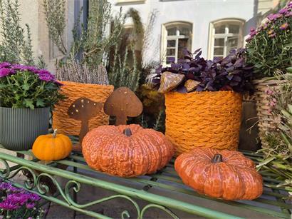 Die leuchtenden Kürbisse können bei der Herbstdeko ein echter Blickfang sein