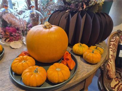Die leuchtenden Kürbisse können bei der Herbstdeko ein echter Blickfang sein
