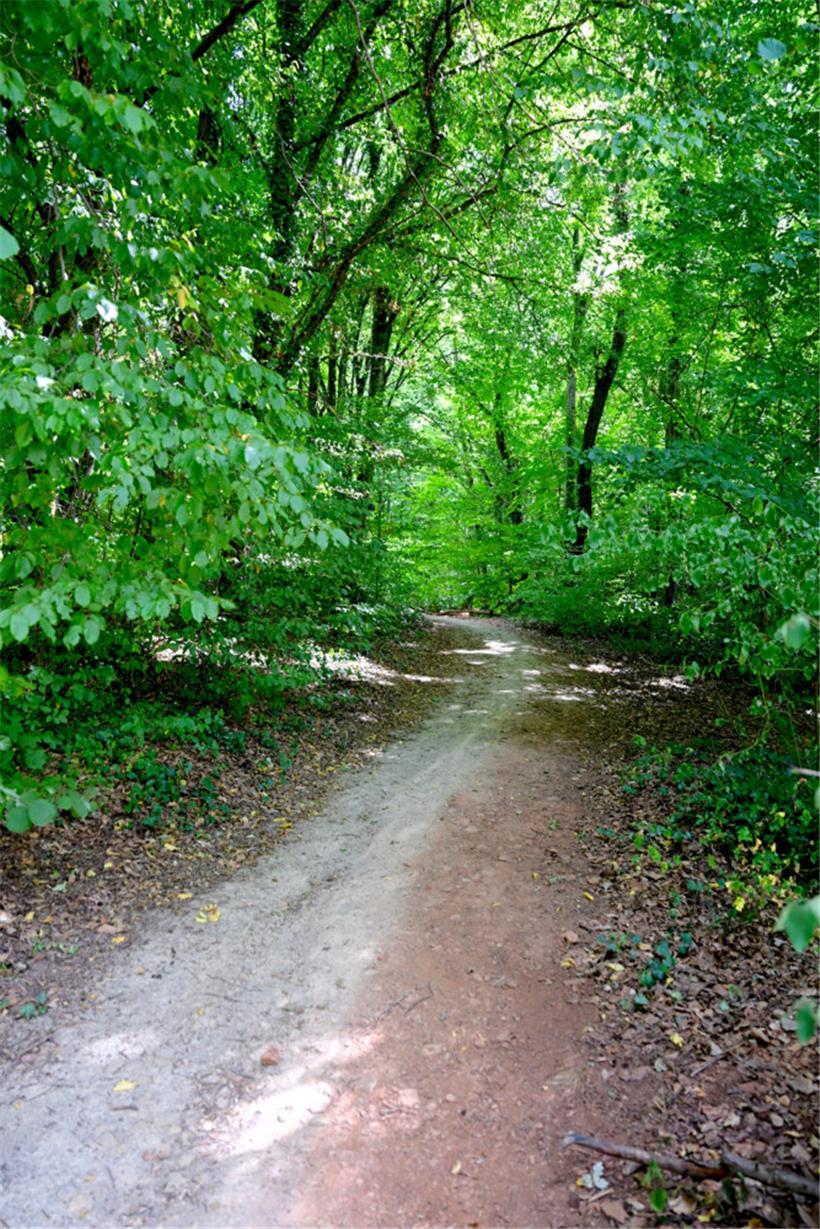 Die meisten Wege wie hier im Ellergrund, aber auch auf dem Galgenberg, liegen im...