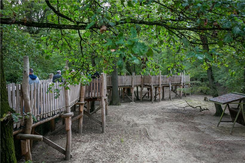 Die neue Panoramabrücke erstreckt sich weit ins Dammwildgehege hinein und bietet einen neuen Blick auf die Tierwelt
