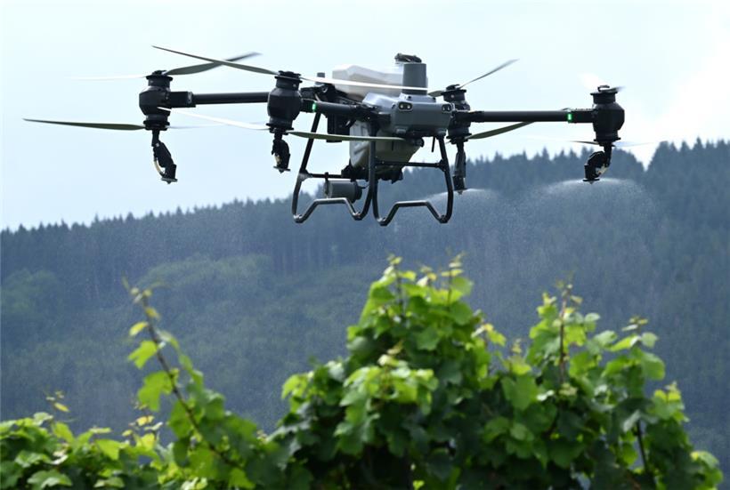 Die neue T50-Spritzdrohne begeistert bei einer Vorführung die anwesenden Winzer
