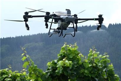 Die neue T50-Spritzdrohne begeistert bei einer Vorführung die anwesenden Winzer
