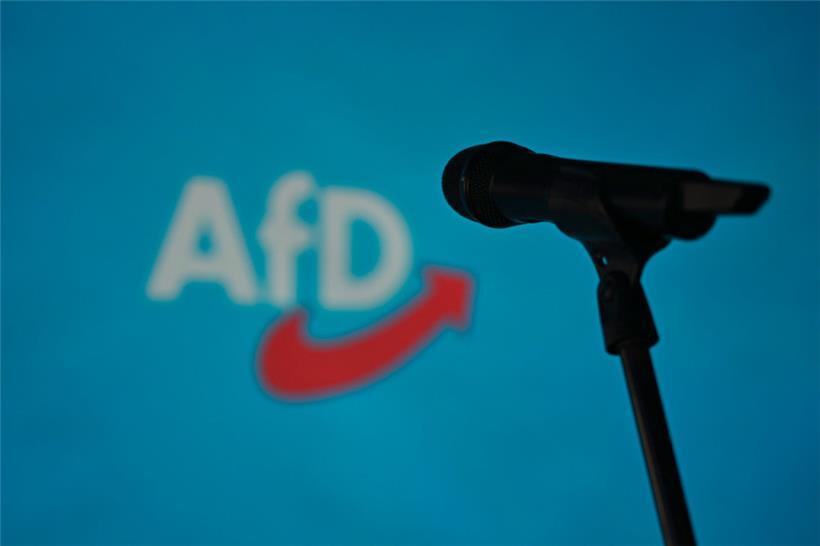 Die rechtsextreme Alternative für Deutschland (AfD) hat bei den Europawahlen viele junge Wähler angezogen
