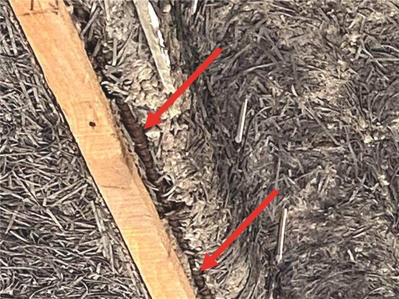 Rostige Stahlträger mit roten Pfeilen markiert, sichtbar statt im Zement eingebettet, Baustellenkorrosion sichtbar