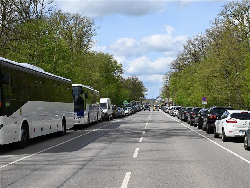 Route de Mondorf zwischen Bettemburg und Bous mit Parkplatz für Parc Merveilleux in Luxemburg