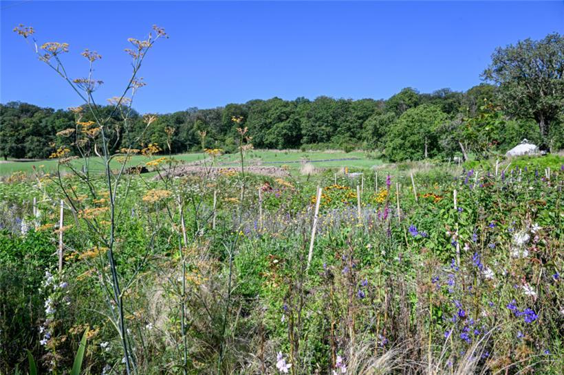 Die rund 1.000 Quadratmeter Anbaufläche sind ein Paradies der Diversität