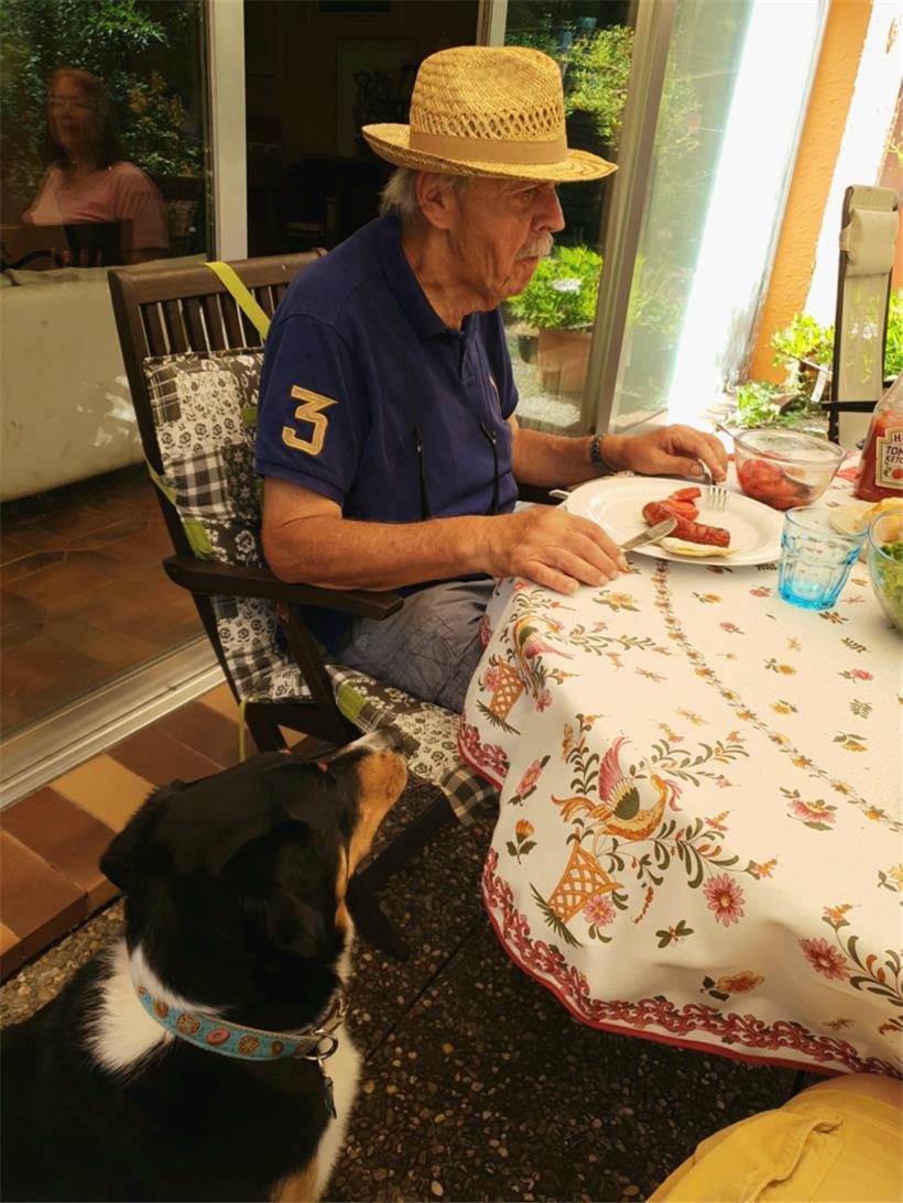Die vierbeinigen Gäste geben die Hoffnung nicht auf … 
