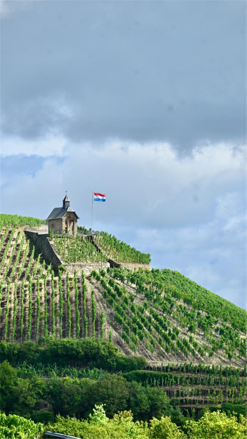 Die wohl bekannteste Weinlage „Koeppchen“