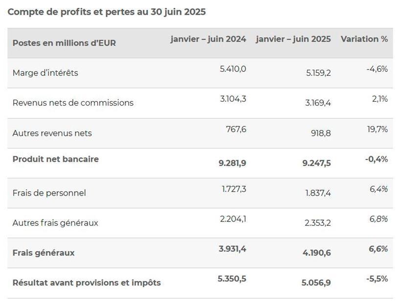 Die zusammengerechnete Gewinn- und Verlustrechnung der 118 Luxemburger Banken
