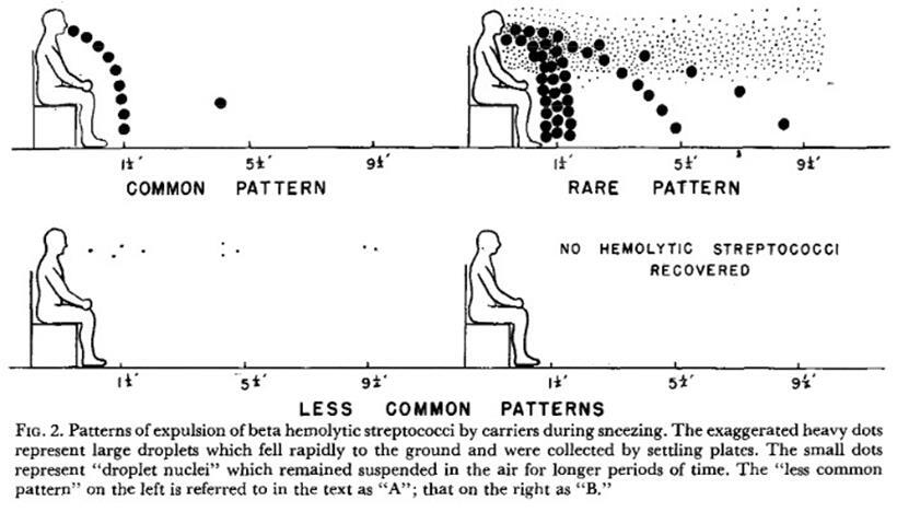 Diese Abbildung aus einer Studie von 1948 zeigt die Flugbahn von Tröpfchen beim Niesen. Die Wissenschaftler unterschieden lediglich zwischen zwei Arten von Tropfen. (Entfernungen in feet)
