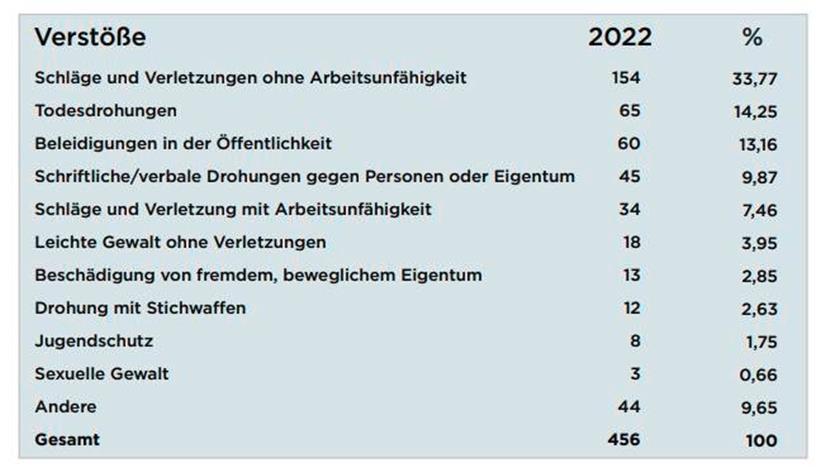 Diese im Rahmen von häuslichen Gewalt verübten Delikte zählt der Report auf
