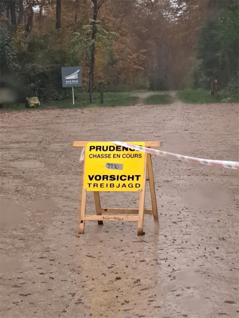 Dieses Foto wurde von Privatpersonen zur Verfügung gestellt
