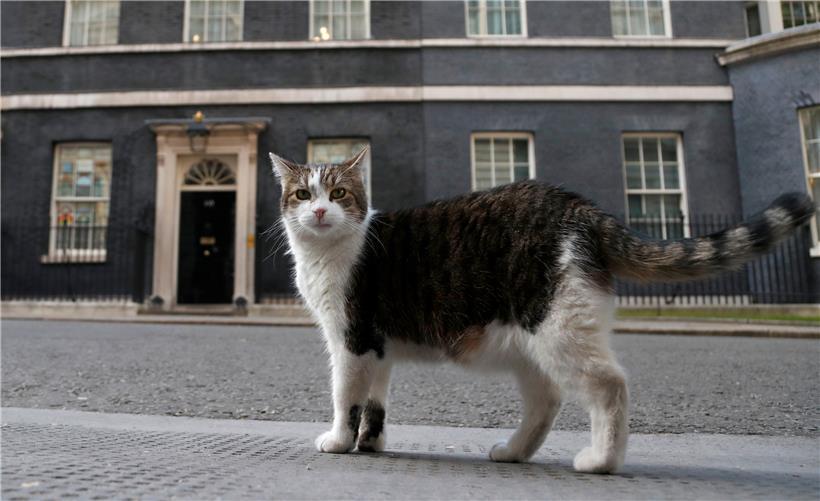 Downing Street: Mit „First Lord of the Treasury“ steht der erste Titel bis heute auf dem goldenen Schild der berühmten schwarzen Tür mit der Zahl 10, dem Amtssitz des britischen Premierministers
